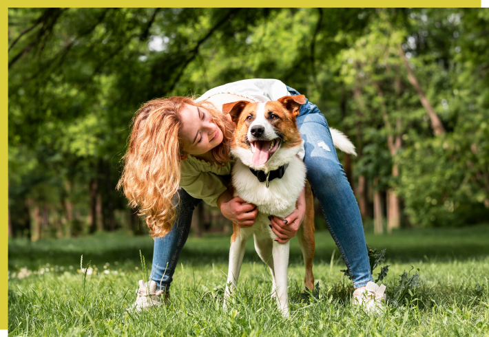 healthyvibe.ro-lp-ambrozie-beneficii-710x490-4